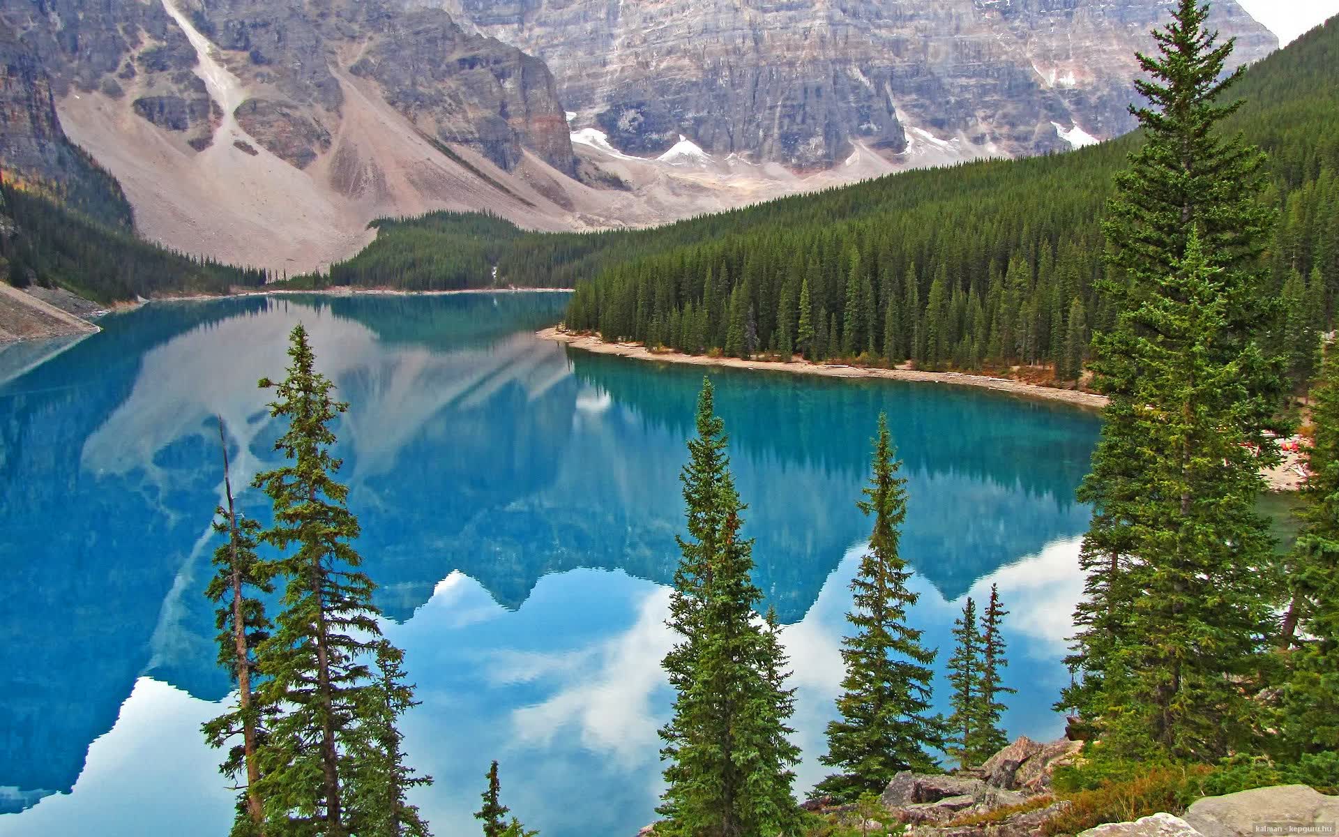 世界举重恢复训练法：冷疗与主动恢复获推荐，世界举重比赛